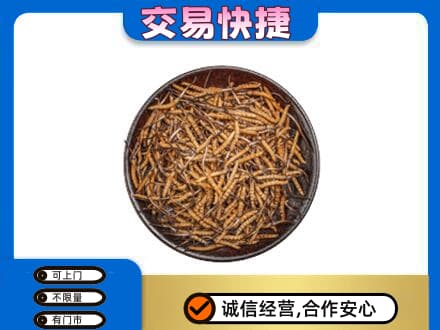 沧州市青市回收散虫草