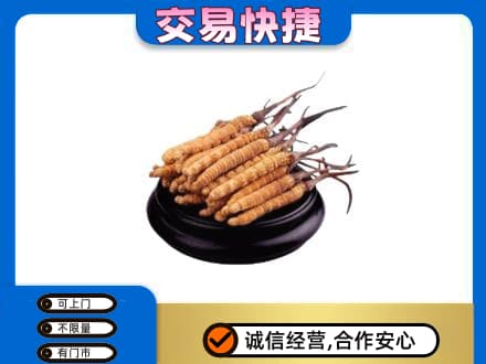 沧州市青市回收冬虫夏草多少钱每克
